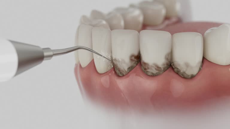 Reliable Dental contractor in Perryville, AR by Dentist Open Now
